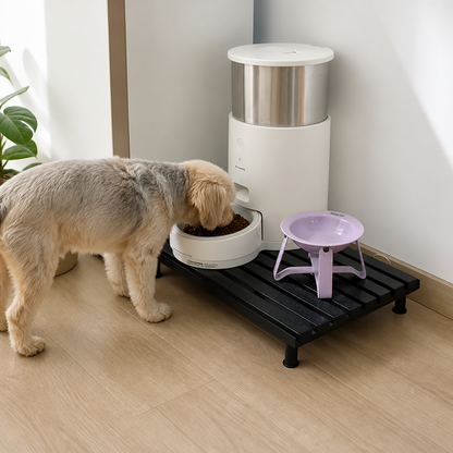 Ortekor Fixed-Height Ergonomic Plastic Feeding Stand
