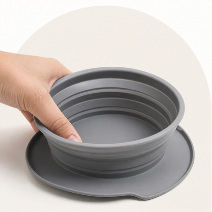 Ortekor Foldable Silicone Anti-Slip Travel Bowl