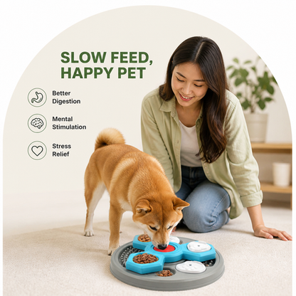 Ortekor Multi-Layer Puzzle & Anti-Slip Slow Feeder Bowl