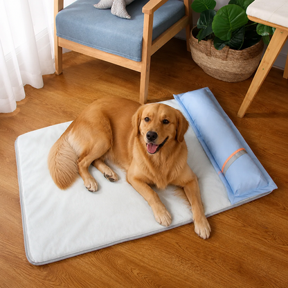 Ortekor Orthopedic Memory Foam & Breathable Waterproof Bolster Bed (Removable Cover)