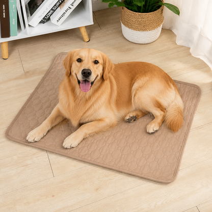 Ortekor Reusable Absorbent Waterproof Dog Pee Pad