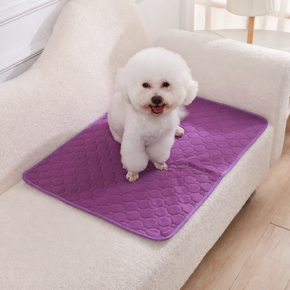 Ortekor Reusable Absorbent Waterproof Dog Pee Pad