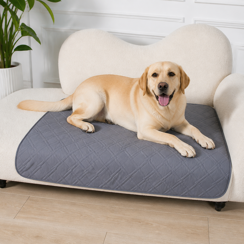 Ortekor Reusable Absorbent Waterproof Dog Pee Pad