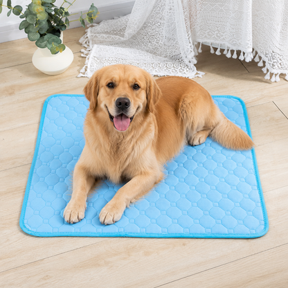 Ortekor Ultra Absorbent Quilted Pet Mat (Non-Slip Backing)