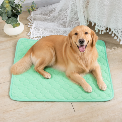 Ortekor Ultra-Absorbent Waterproof Quilted Training Pad (Machine Washable)