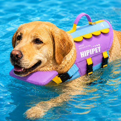 High-Visibility Chin Float & Rescue Handle Dog Life Jacket