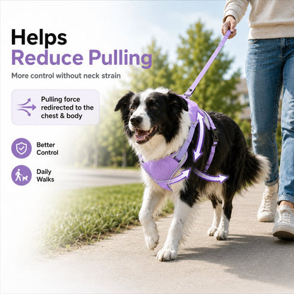 No-Pull Built-In Retractable Leash Dog Harness