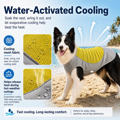 Water-Activated & Breathable Dog Cooling Vest (Ice Pack Pocket)