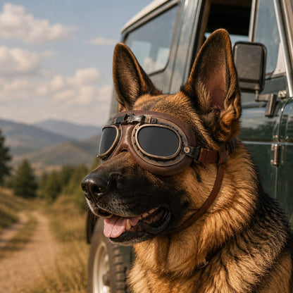 Wind & Dust-Resistant Adjustable Dual-Strap Dog Goggles (Retro Aviator)