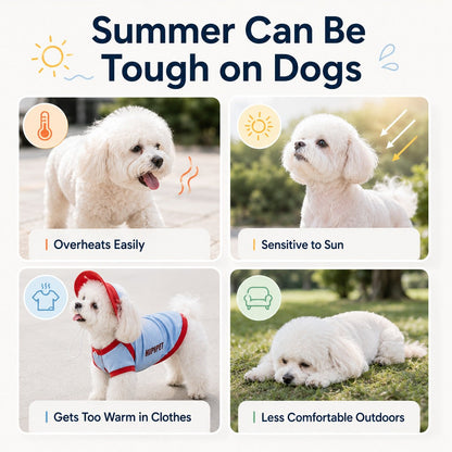 Ortekor Dog Cooling Vest and Sun Hat Set – Keep your dog cool and comfortable during hot summer walks.