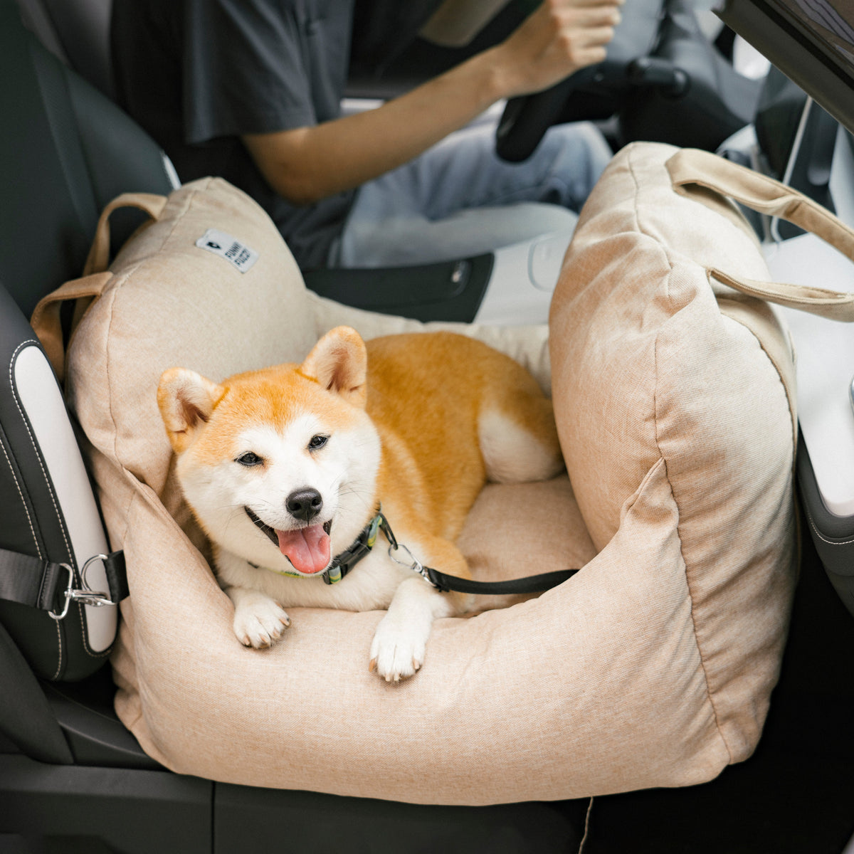 Portable Pet Carrier Booster Seat with Safety Harness and Washable Cover for Small Dogs