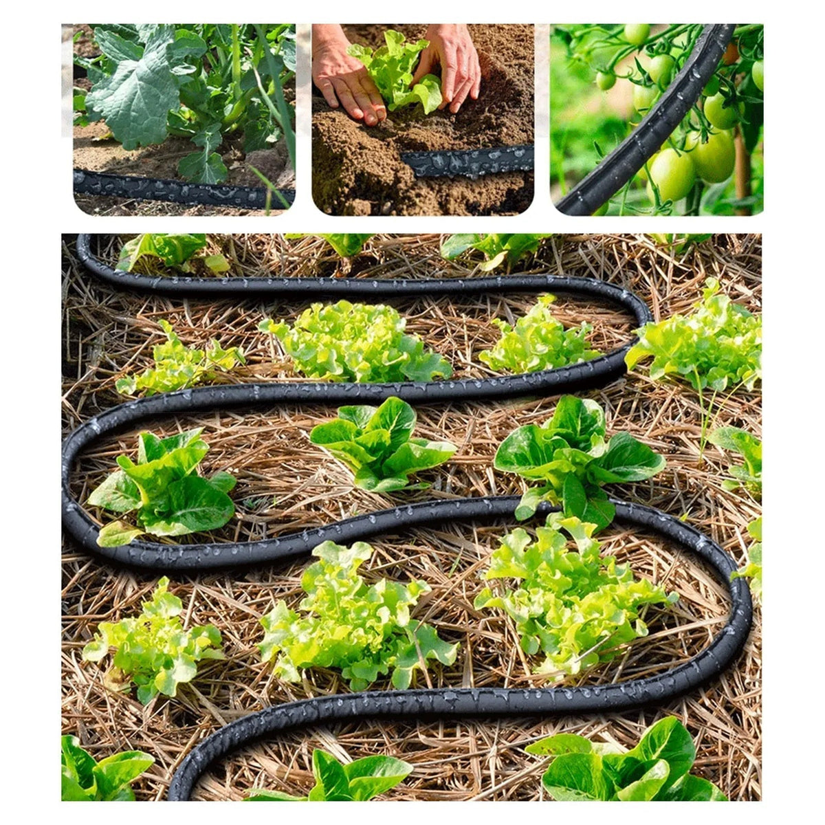 Ortekor DriPhera | 100ft Soaker Hose for Garden with Eco-Friendly Design | Efficient Deep Root Hydration