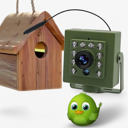Wildlife Observer | 1080p HD Trail Camera with Night Vision & Motion Detection | Durable Design for Year-Round Bird Watching