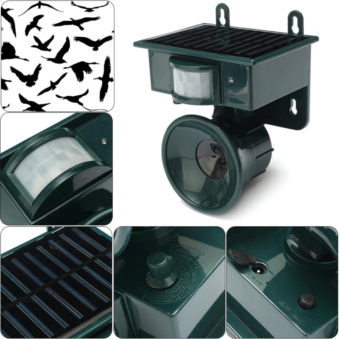 EcoGuard | Bird Deterrent Repeller with Motion Sensor & Natural Sounds | Effective Solution for Pigeon and Woodpecker Control