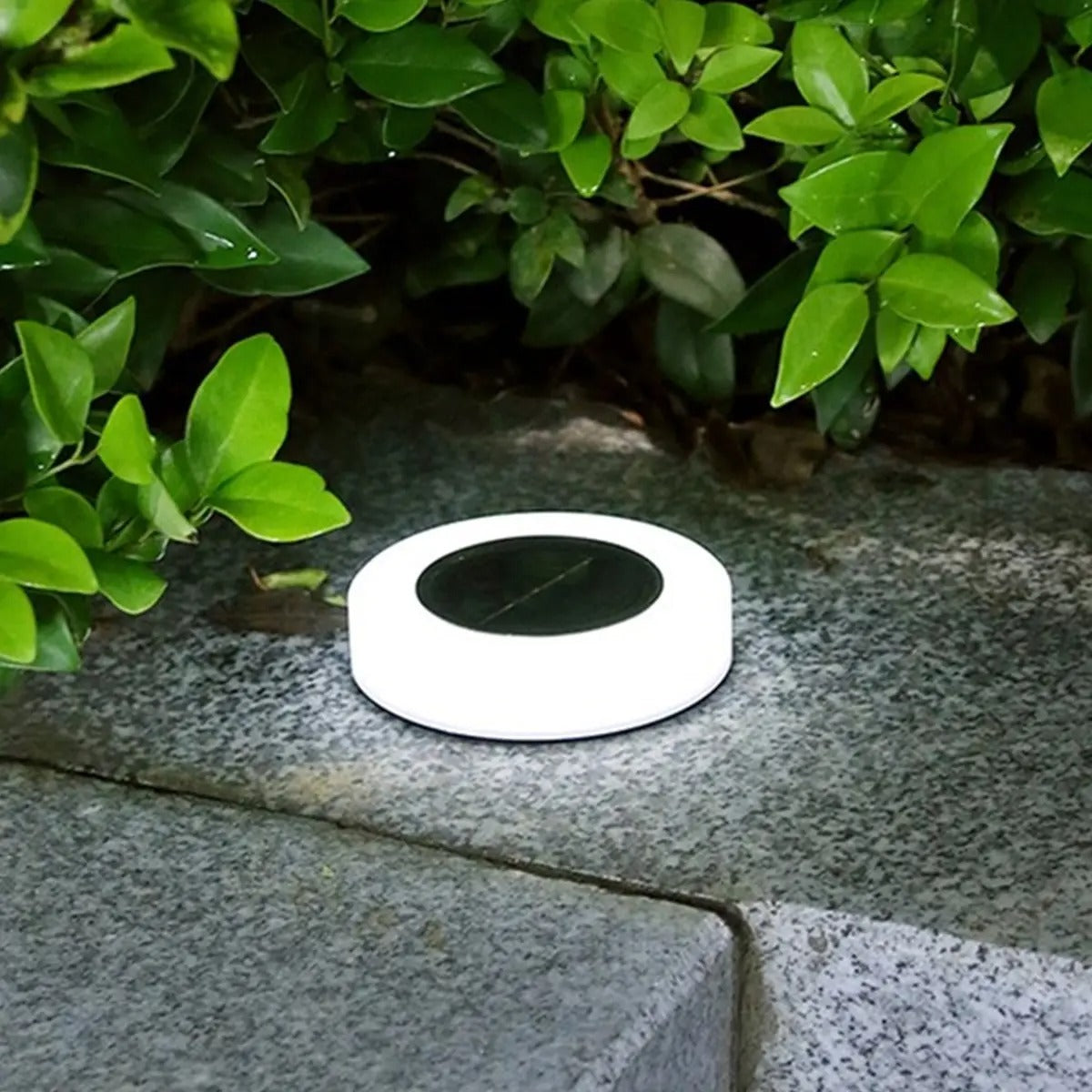 Elegant Solar Garden Lights – Eco-Friendly Outdoor Lighting with Automatic Dusk-to-Dawn Functionality