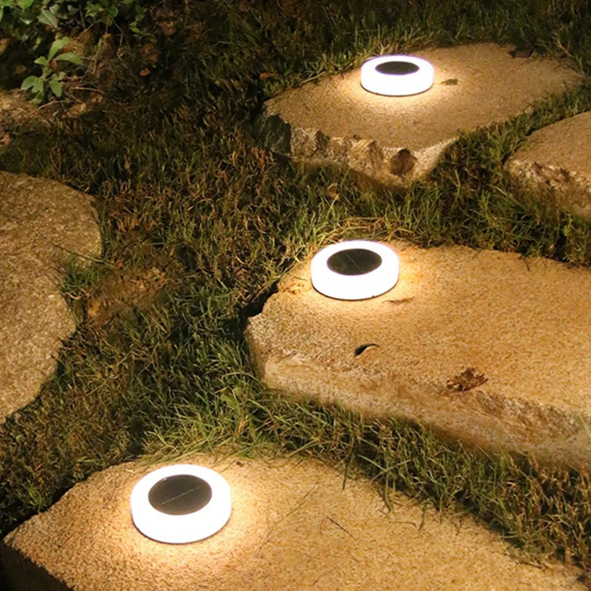 Elegant Solar Garden Lights – Eco-Friendly Outdoor Lighting with Automatic Dusk-to-Dawn Functionality