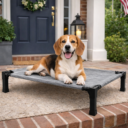 Elevated Dog Bed with Breathable Mesh Fabric & Chew-Proof Design for Ultimate Comfort