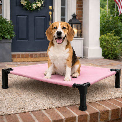 Elevated Dog Bed with Breathable Mesh Fabric & Chew-Proof Design for Ultimate Comfort