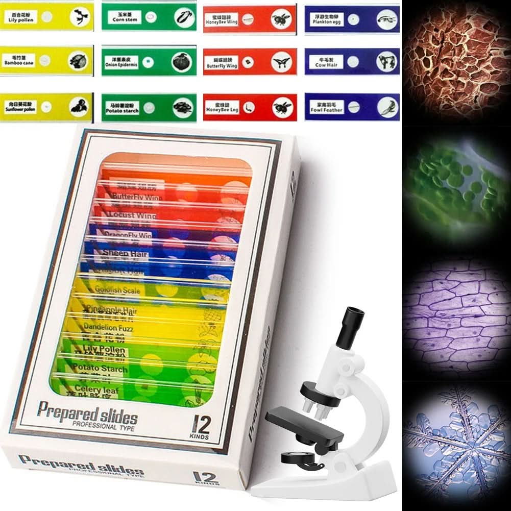 ExplorerLens | Portable Microscope for Kids with 60x-120x Magnification | Compact Design for Outdoor Exploration
