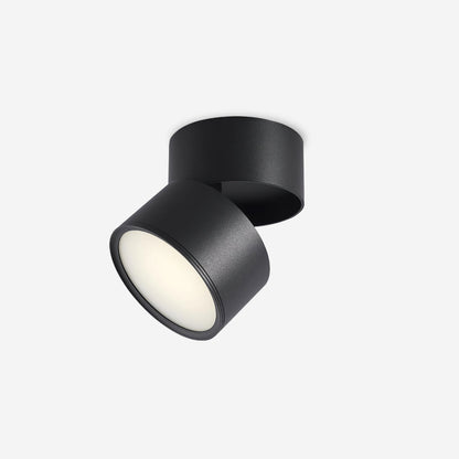 Adjustable Spotlight Ceiling Fixture 4 Inch Rotating LED Light for Artwork Living Room Gallery Black White Aluminum