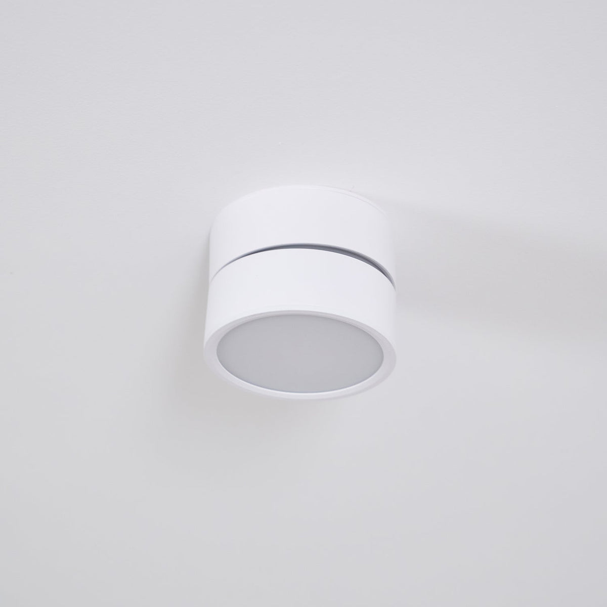 Adjustable Spotlight Ceiling Fixture 4 Inch Rotating LED Light for Artwork Living Room Gallery Black White Aluminum