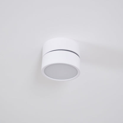 Adjustable Spotlight Ceiling Fixture 4 Inch Rotating LED Light for Artwork Living Room Gallery Black White Aluminum