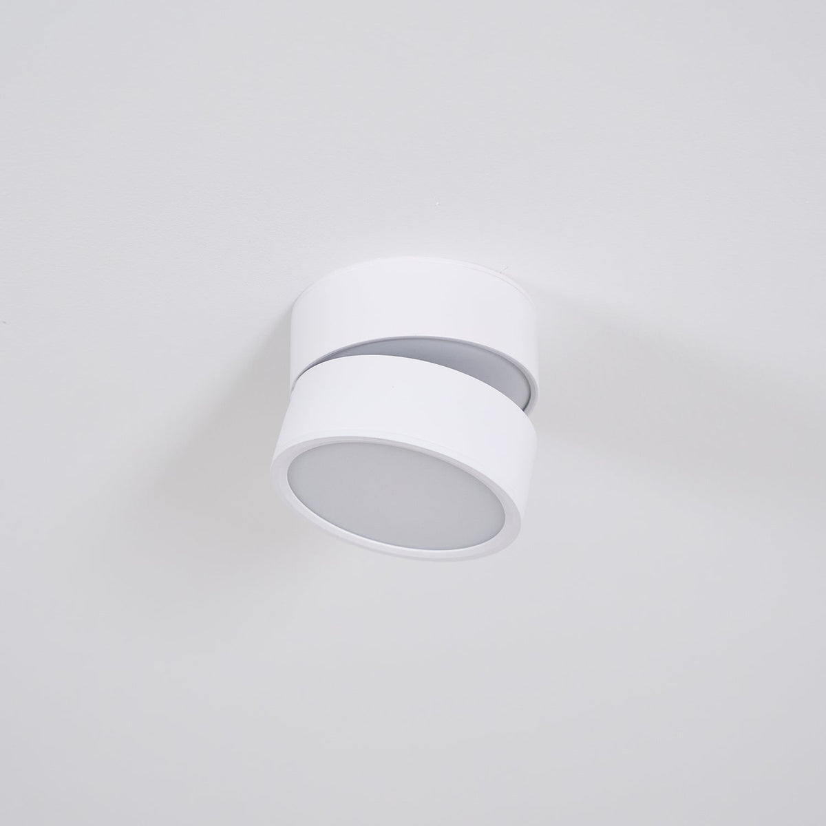 Adjustable Spotlight Ceiling Fixture 4 Inch Rotating LED Light for Artwork Living Room Gallery Black White Aluminum
