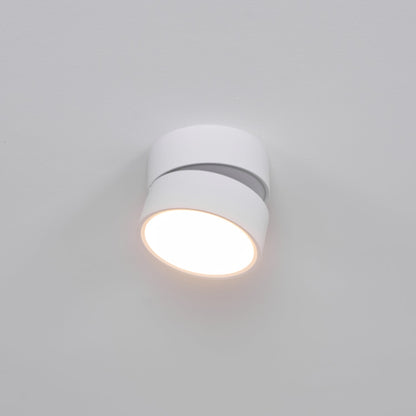 Adjustable Spotlight Ceiling Fixture 4 Inch Rotating LED Light for Artwork Living Room Gallery Black White Aluminum