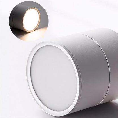 Adjustable Spotlight Ceiling Fixture 4 Inch Rotating LED Light for Artwork Living Room Gallery Black White Aluminum