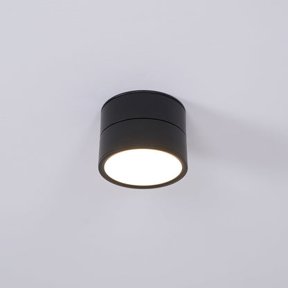 Adjustable Spotlight Ceiling Fixture 4 Inch Rotating LED Light for Artwork Living Room Gallery Black White Aluminum
