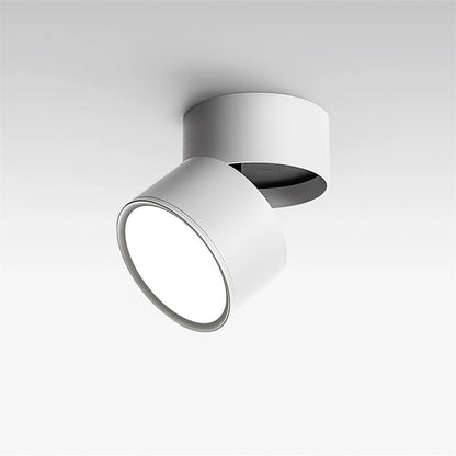 Adjustable Spotlight Ceiling Fixture 4 Inch Rotating LED Light for Artwork Living Room Gallery Black White Aluminum