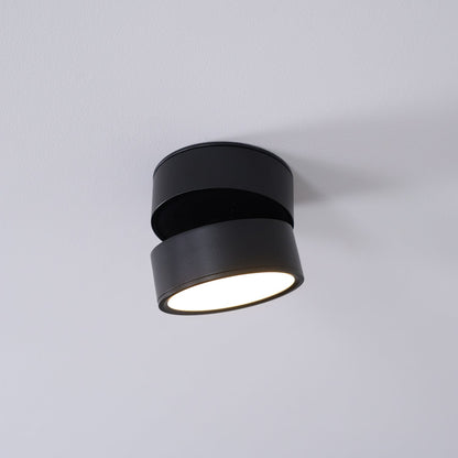 Adjustable Spotlight Ceiling Fixture 4 Inch Rotating LED Light for Artwork Living Room Gallery Black White Aluminum