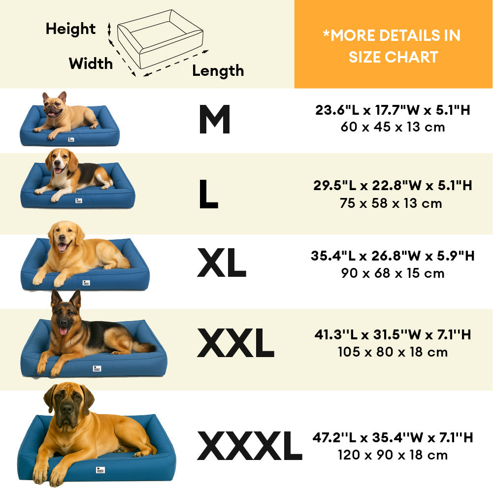 Raised-Edge Bolster Dog Bed with Joint-Relief Foam & Liquid-Proof Cover for Large Breeds