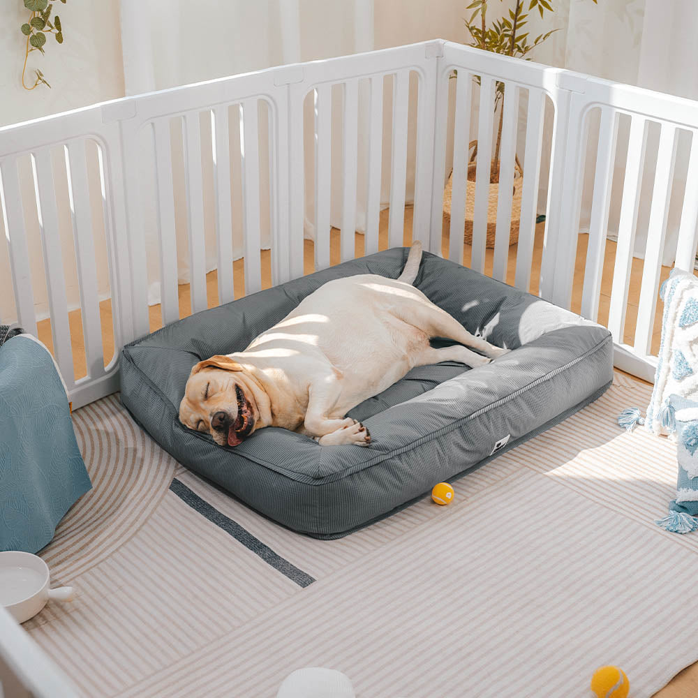 Raised-Edge Bolster Dog Bed with Joint-Relief Foam & Liquid-Proof Cover for Large Breeds