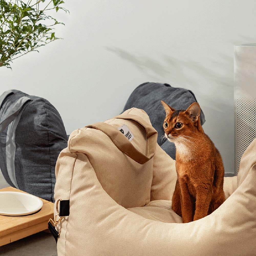Portable Pet Carrier Booster Seat with Safety Harness and Washable Cover for Small Dogs
