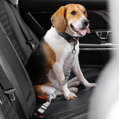 Adjustable Pet Safety Harness Tether for Car Travel with Reflective Strap & Elastic Shock Absorber for Dogs
