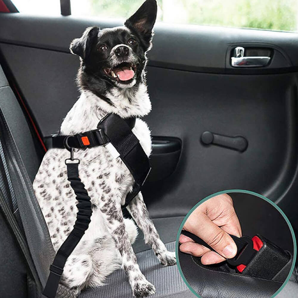 Adjustable Pet Safety Harness Tether for Car Travel with Reflective Strap & Elastic Shock Absorber for Dogs