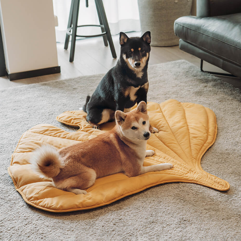 Botanical Leaf-Shaped Pet Throw Blanket - Soft Cotton-Polyester Cover for Dogs & Cats - Machine Washable Couch Protector & Floor Mat for