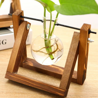 Wooden Hydroponic Vase Holder with Glass Tubes for Propagating Cuttings Tabletop Decor Station for Herbs Flowers Succulents Root Development