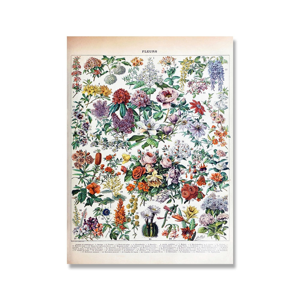 Framed Nature Illustration Canvas Prints – Classic Plant & Flower Wall Art for Living Room, Bedroom, Home Office Décor
