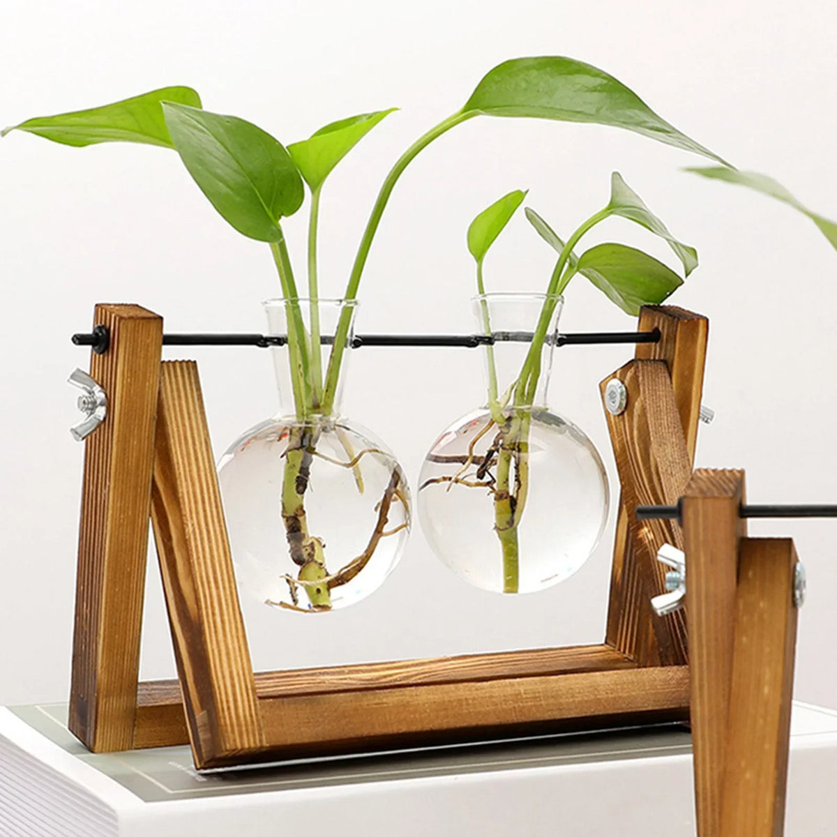 Wooden Desktop Glass Tube Rooting Station for Cuttings & Houseplants — Single, Double & Triple Holder Designs