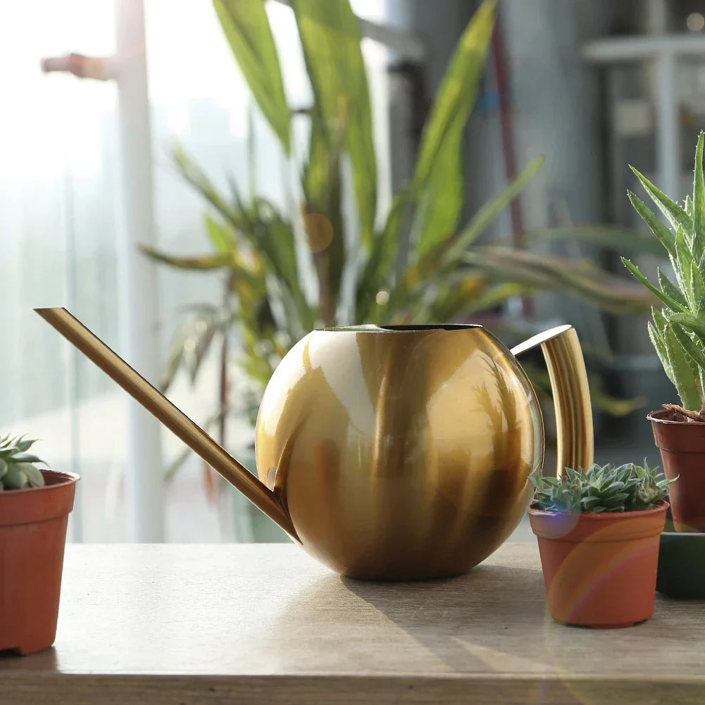 Metal Indoor Plant Watering Pitcher 11 in Diameter Long Spout Rust-Resistant Houseplant Tool Home Garden Container for Succulents Flowers