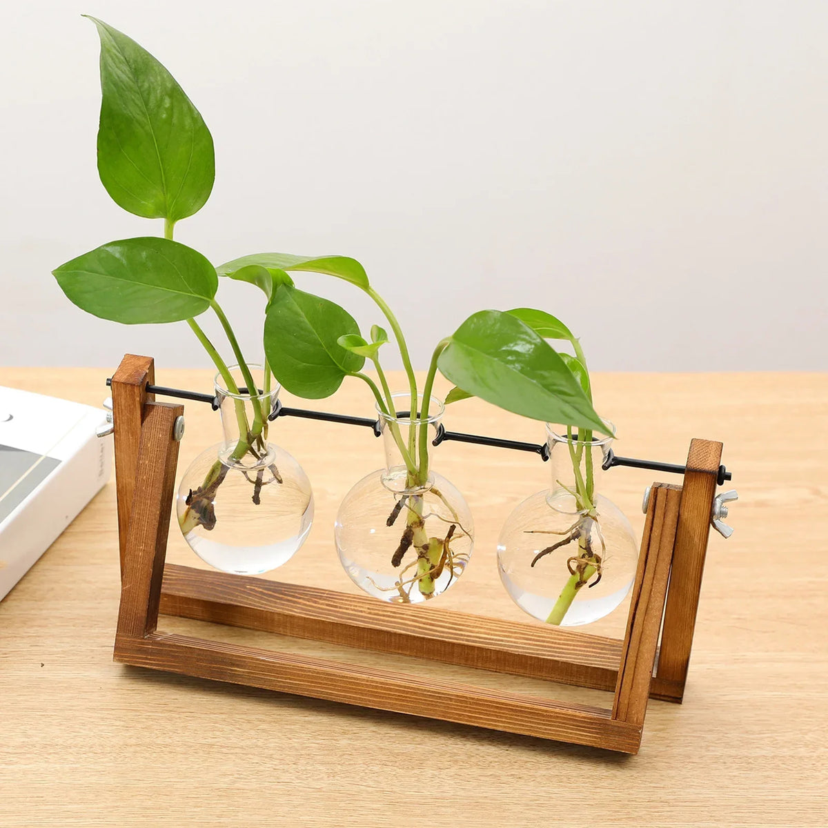 Wooden Hydroponic Vase Holder with Glass Tubes for Propagating Cuttings Tabletop Decor Station for Herbs Flowers Succulents Root Development