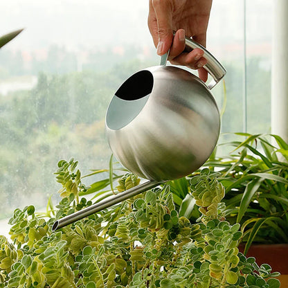 Metal Indoor Plant Watering Pitcher 11 in Diameter Long Spout Rust-Resistant Houseplant Tool Home Garden Container for Succulents Flowers