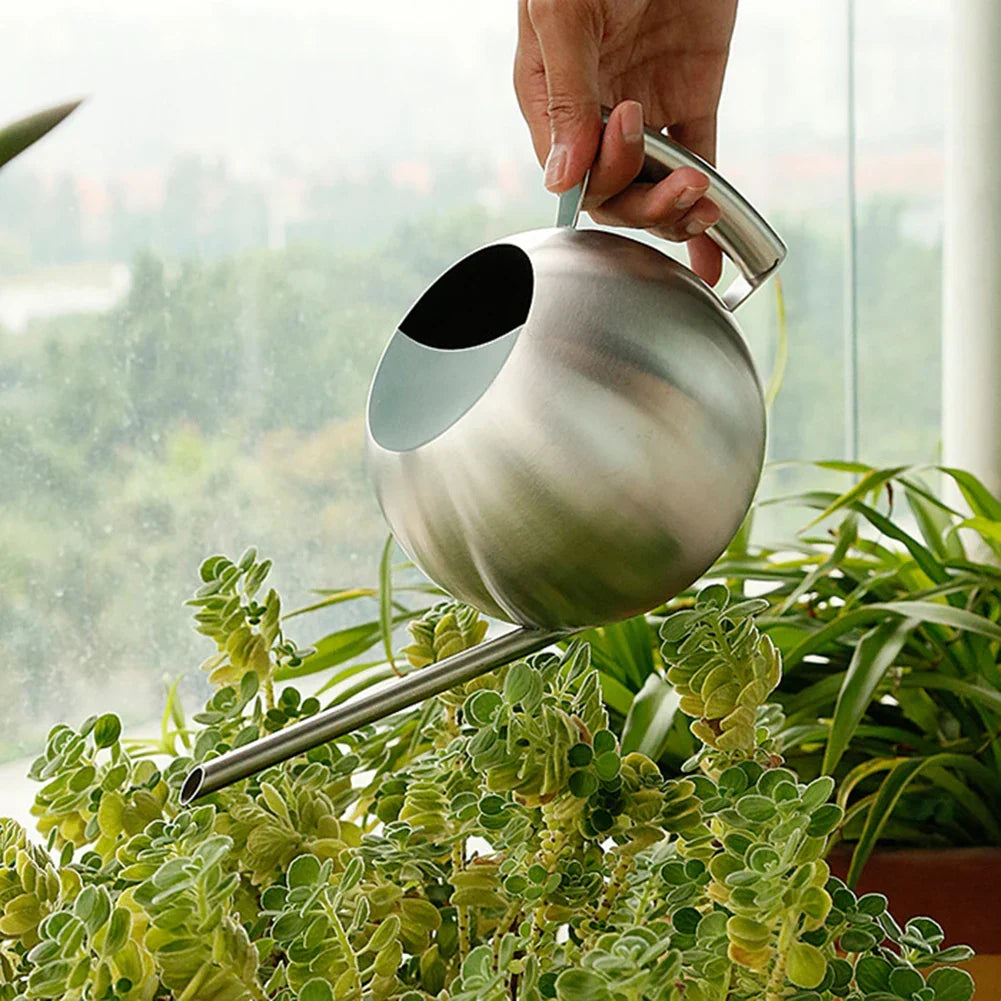 Stainless Steel Indoor Watering Pitcher for Houseplants – Modern Metal Long Spout Garden Can for Potted Plants, Succulents, Orchids – 50 oz