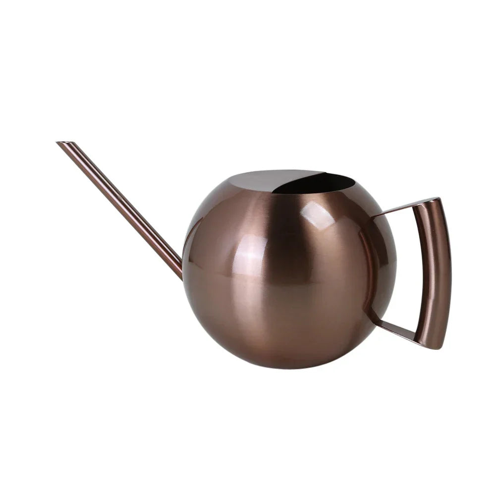 Metal Indoor Plant Watering Pitcher 11 in Diameter Long Spout Rust-Resistant Houseplant Tool Home Garden Container for Succulents Flowers
