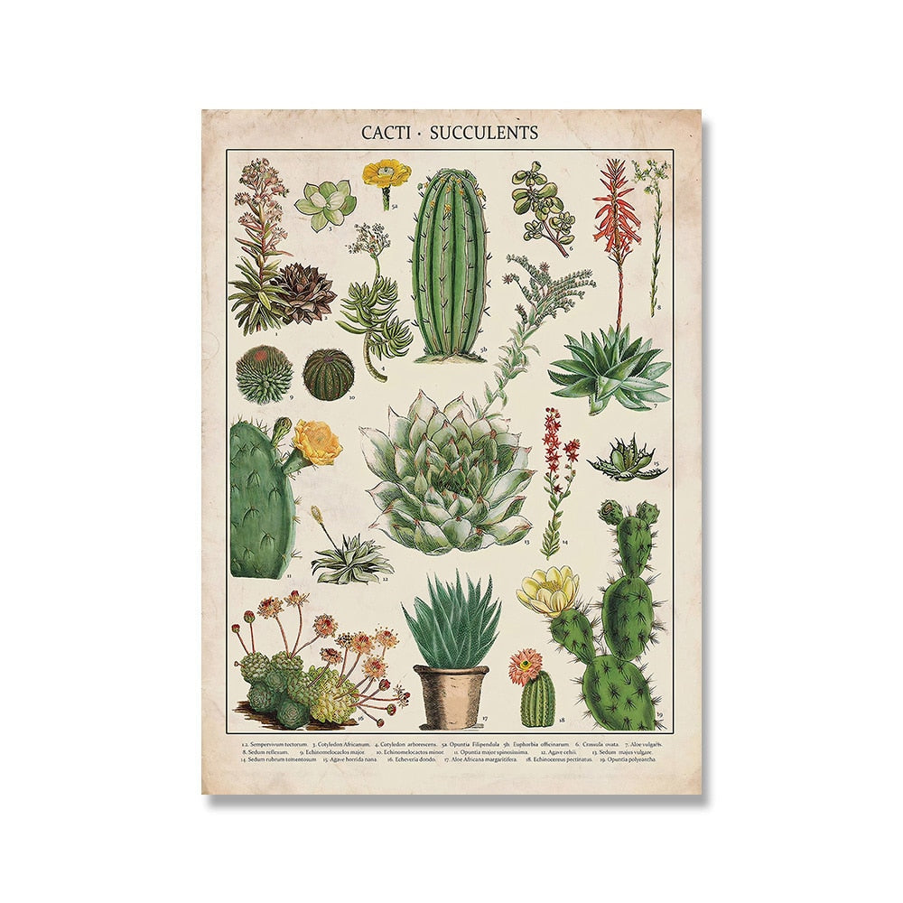 Framed Nature Illustration Canvas Prints – Classic Plant & Flower Wall Art for Living Room, Bedroom, Home Office Décor