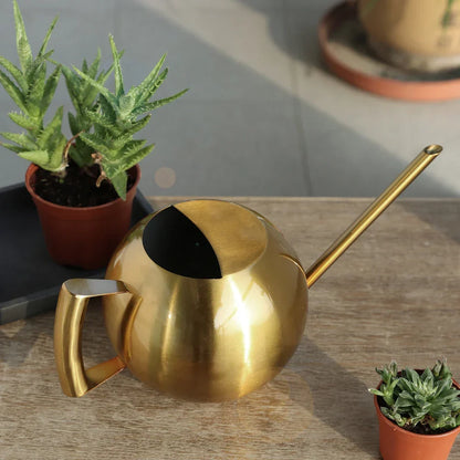 Metal Indoor Plant Watering Pitcher 11 in Diameter Long Spout Rust-Resistant Houseplant Tool Home Garden Container for Succulents Flowers