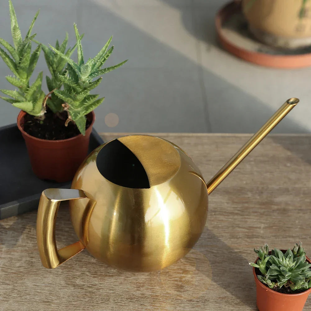 Stainless Steel Indoor Watering Pitcher for Houseplants – Modern Metal Long Spout Garden Can for Potted Plants, Succulents, Orchids – 50 oz