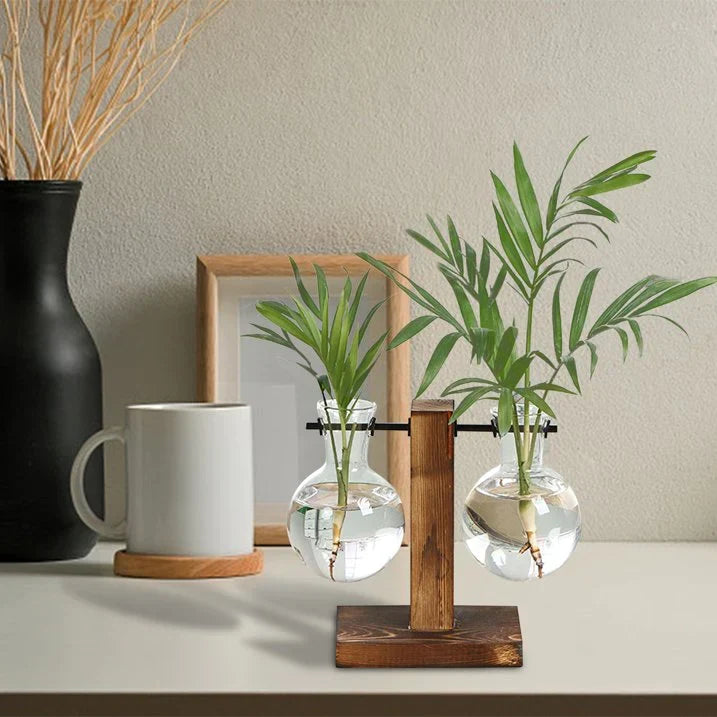 Transparent Bulb Planter with Natural Wood Base for Hydroponics & Fresh Cuttings | Tabletop Desktop Display Stand | Minimalist Home Office D